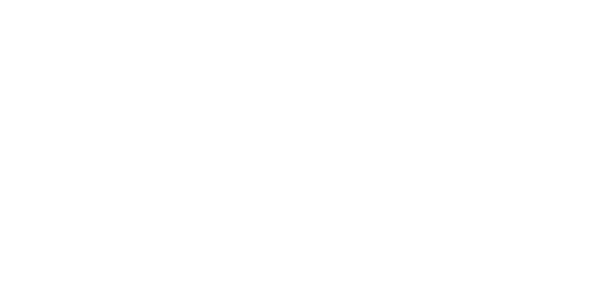 VIP 익스프레스 logo
